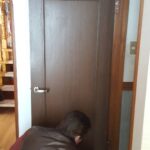 南区戸建のドアシート張替え工事