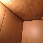 白石区マンション室内塗装・浴室塗装・美装工事